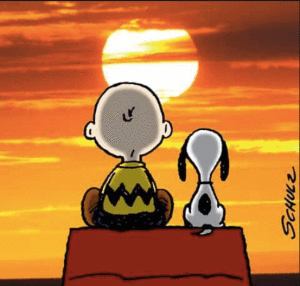 Screen Shot 2017-09-07 at 11.24.34 AM